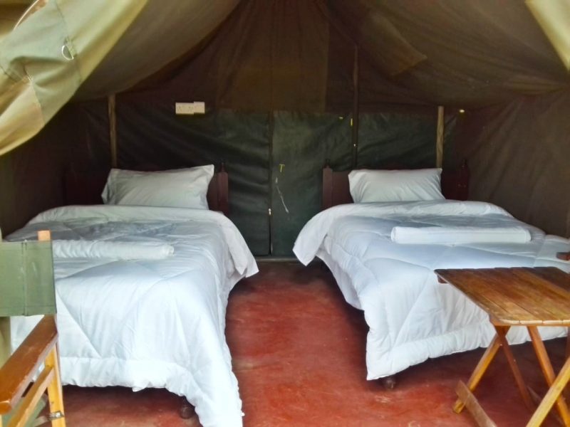 comfort-tent1 comfort-tent1